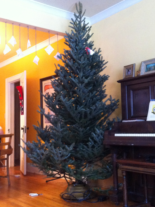 christmas-tree-2012