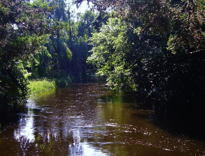 creek-photo