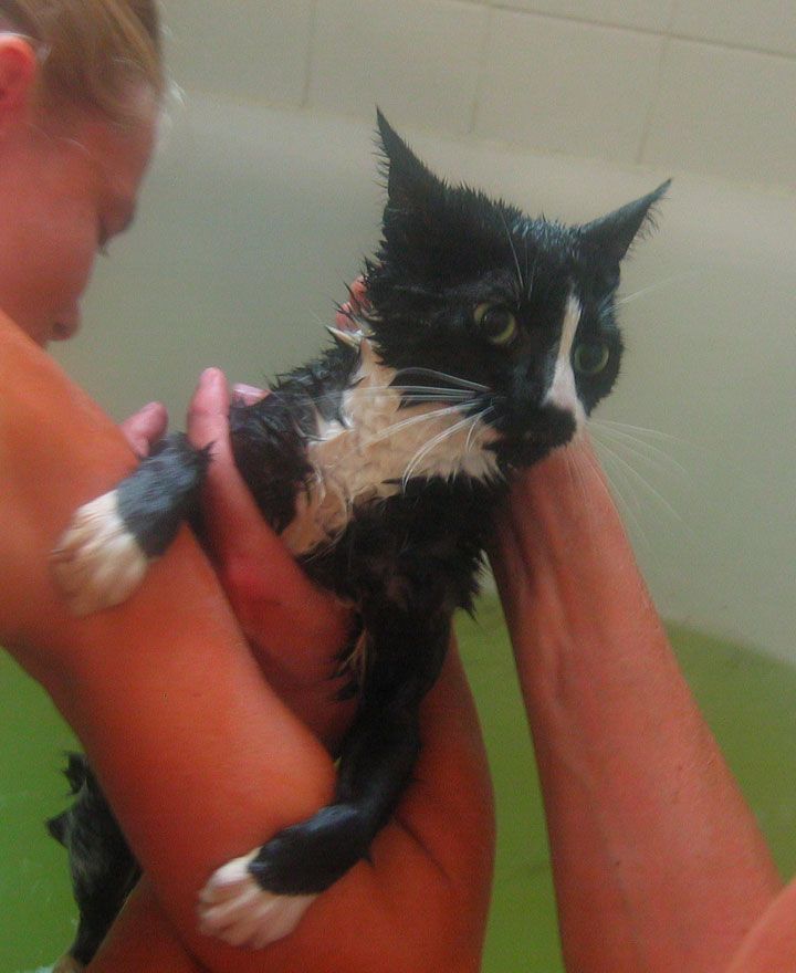 judy-gets-a-bath