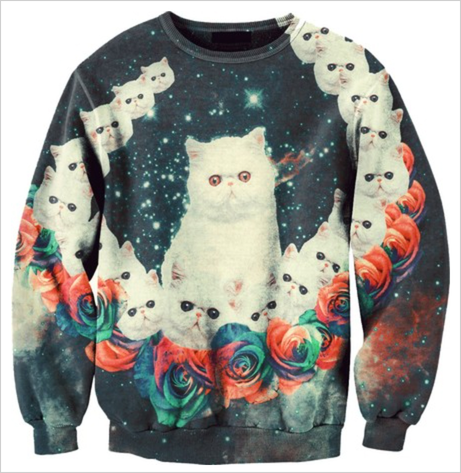kitty sweatshirt